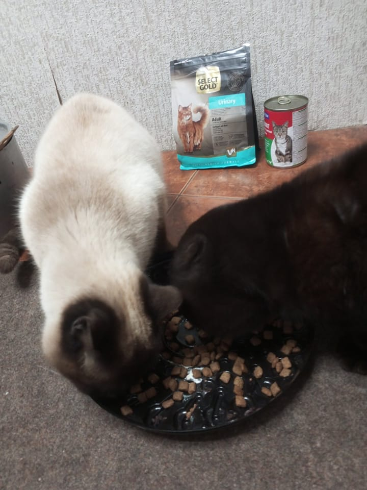Tieren Helfen