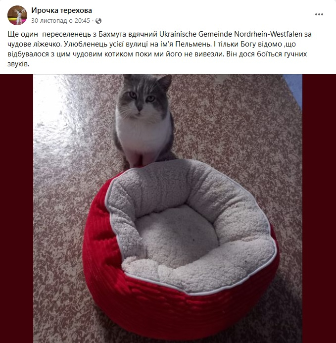 допомога тваринам